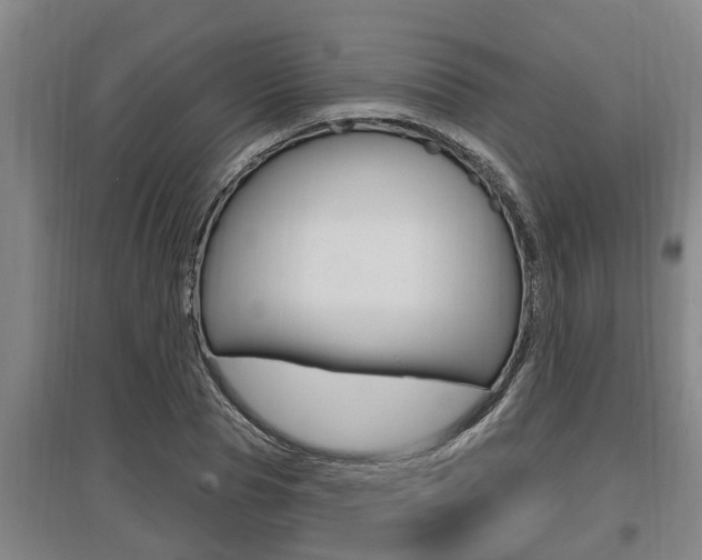X0000095960929200801110942