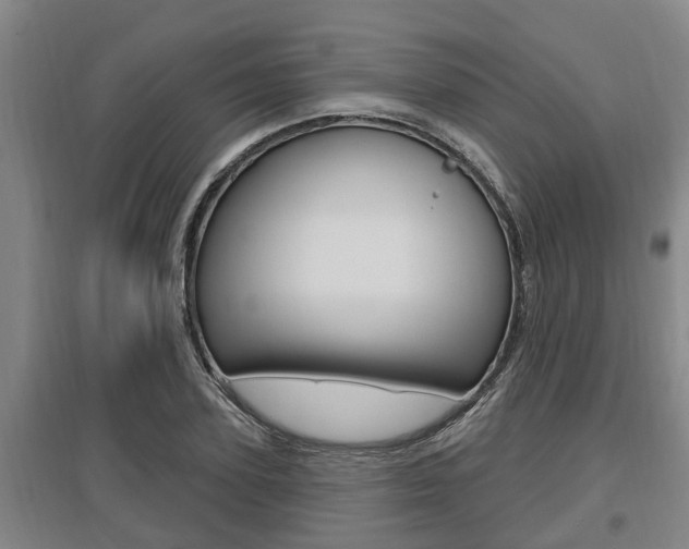 X0000095960931200801110942