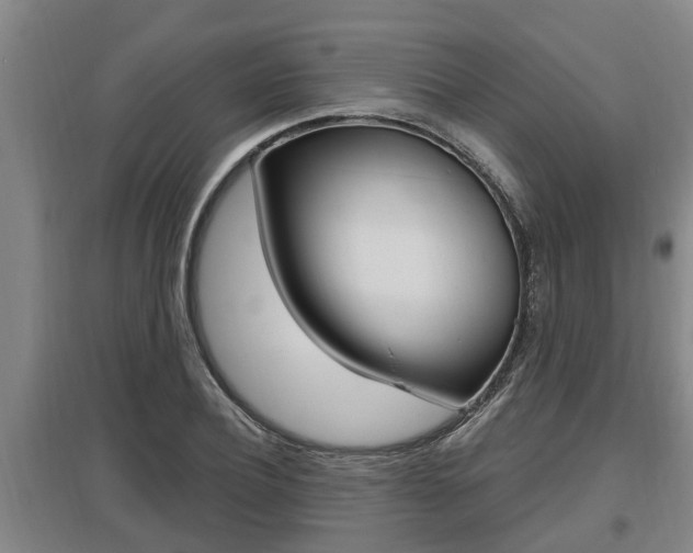 X0000095960932200801110943