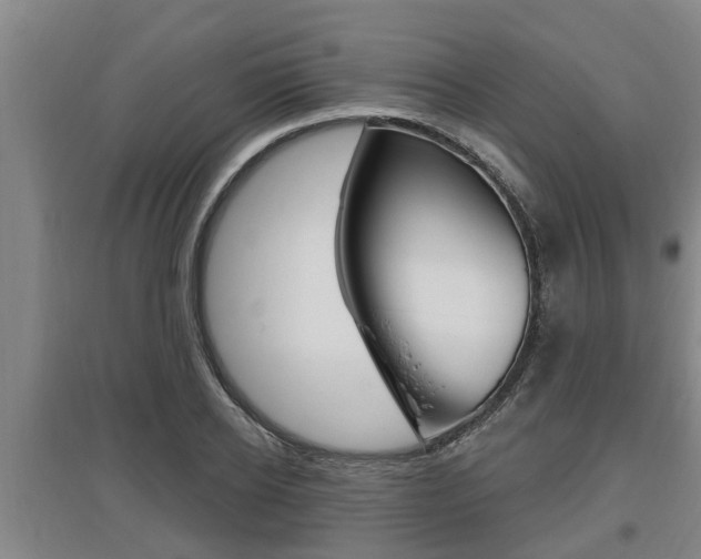 X0000095960934200801110943