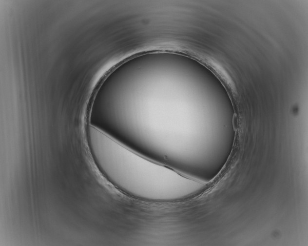 X0000095960944200801110943