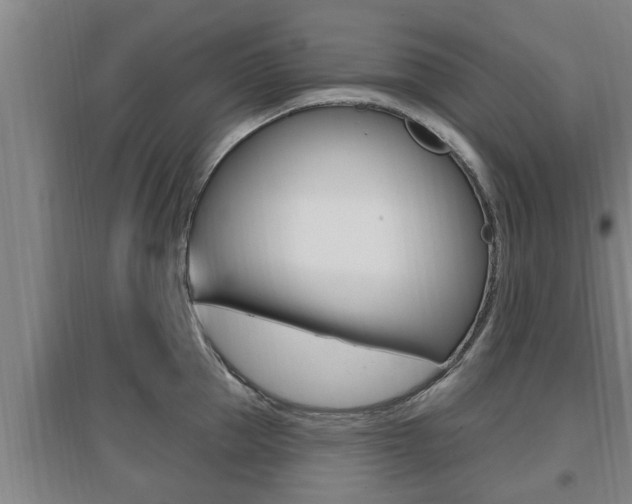 X0000095960953200801110943