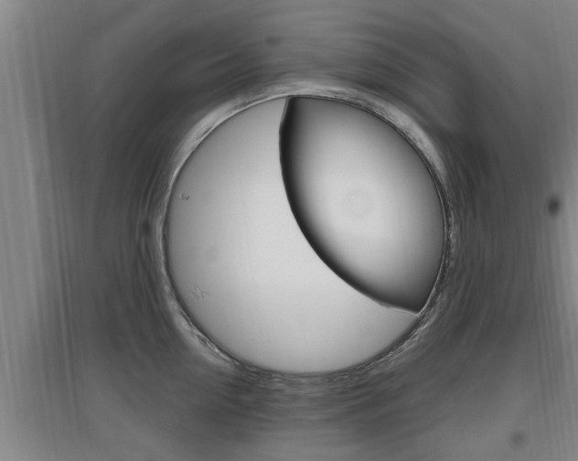 X0000095960954200801110943