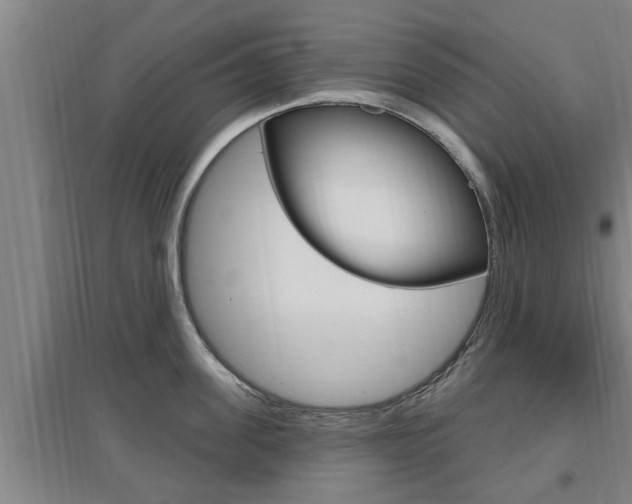 X0000095960955200801110943
