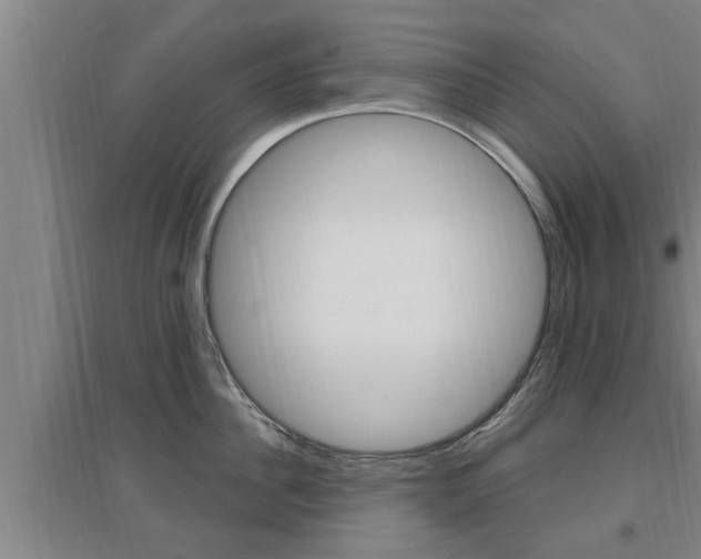 X0000095960956200801110943