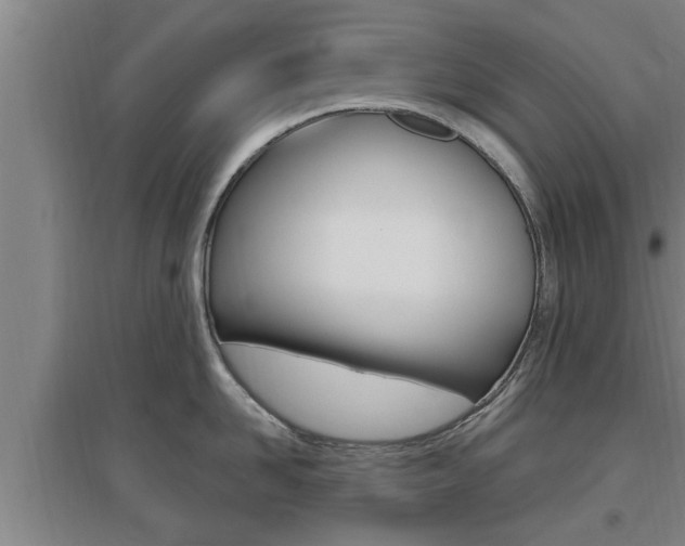 X0000095960958200801110943