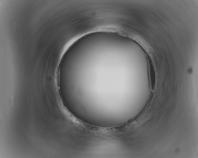 X0000095960960200801110943