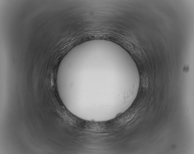 X0000095960962200801110942