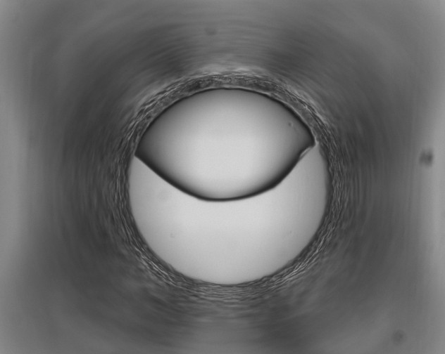 X0000095960966200801110942