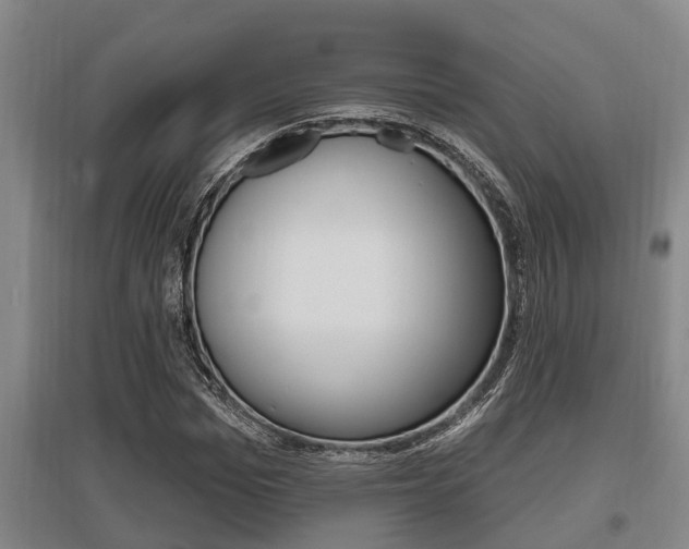 X0000095960969200801110942