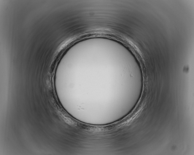 X0000095960970200801110942