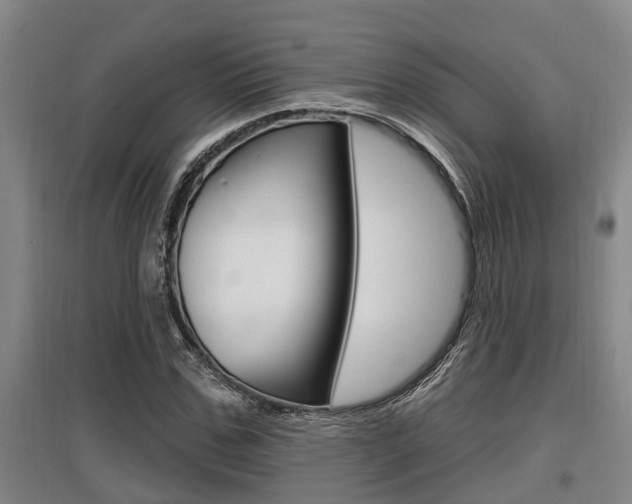 X0000095960971200801110942
