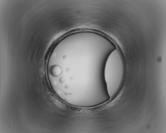 X0000095960974200801110942