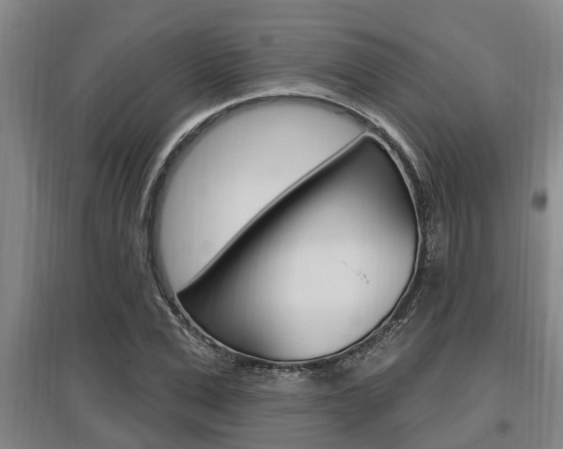 X0000095960975200801110942
