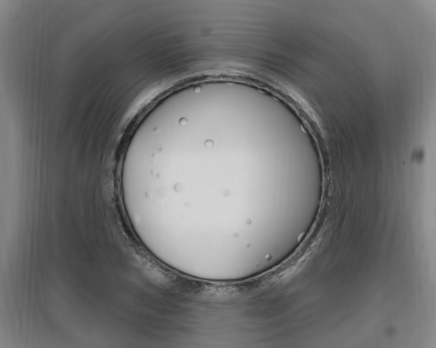 X0000095960978200801110942