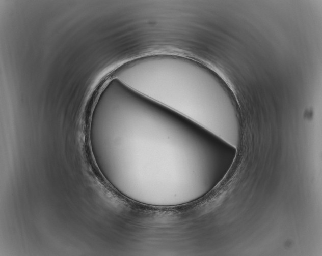 X0000095960979200801110942