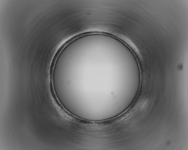 X0000095960980200801110942