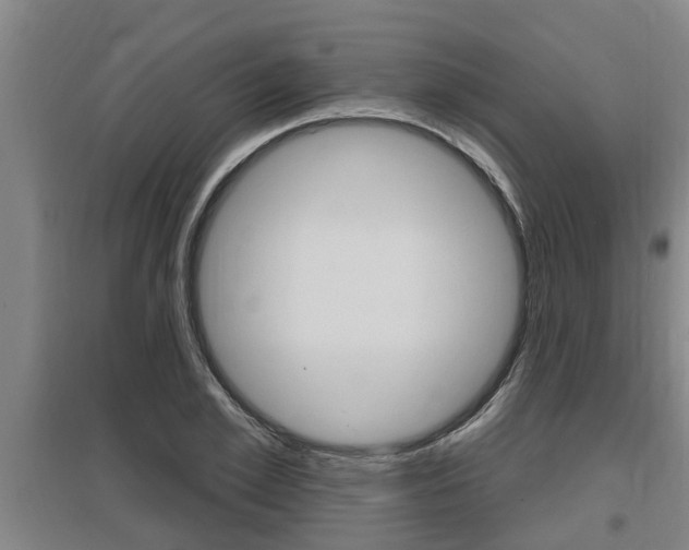 X0000095960981200801110942
