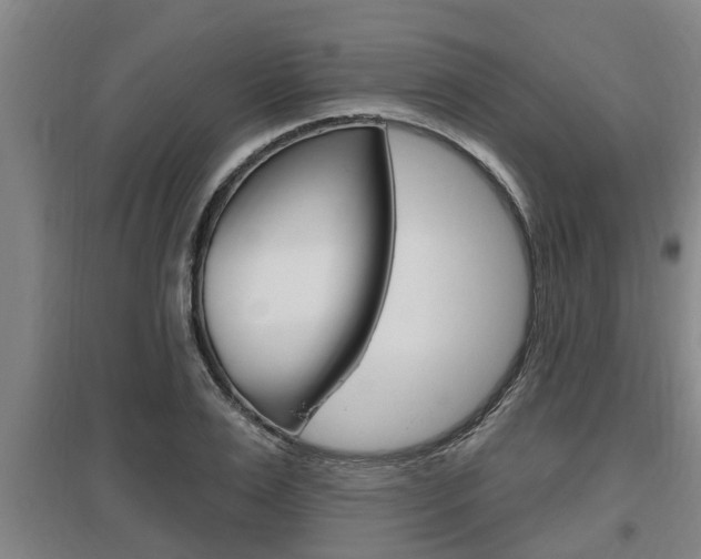 X0000095960983200801110942
