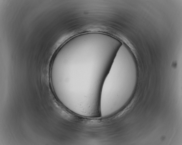 X0000095960986200801110942