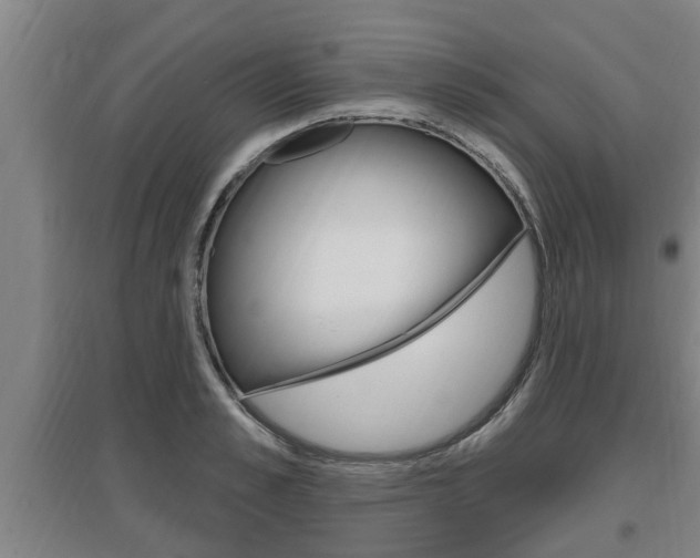 X0000095960989200801110942