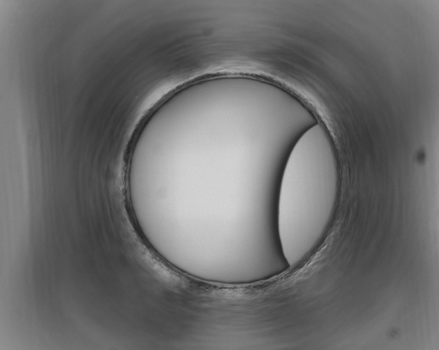 X0000095960990200801110942