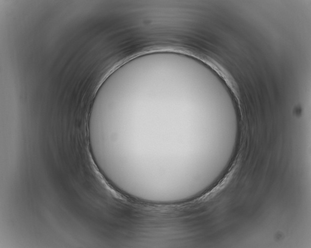 X0000095960993200801110942
