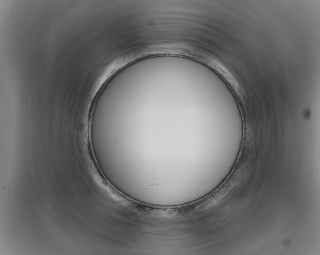 X0000095960994200801110942
