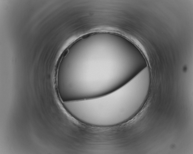 X0000095960997200801110942