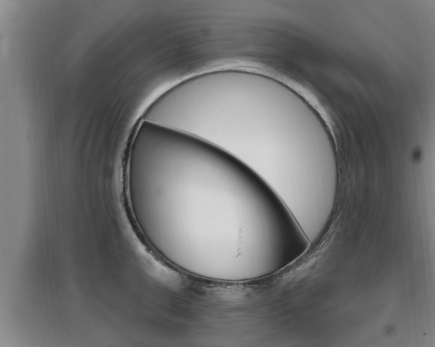 X0000095960999200801110942