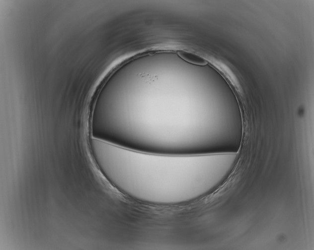 X0000095961000200801110942
