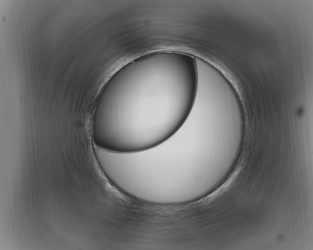 X0000095961001200801110942