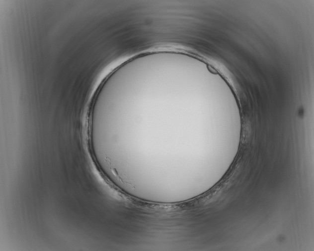 X0000095961003200801110941