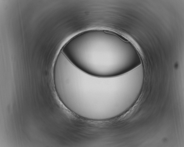 X0000095961004200801110941