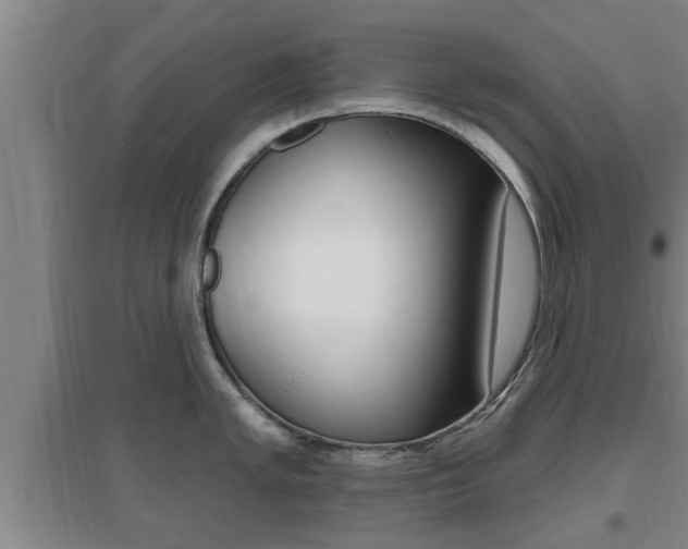 X0000095961005200801110941