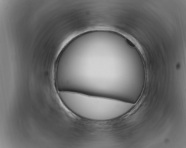 X0000095961006200801110941