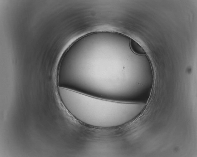 X0000095961008200801110941