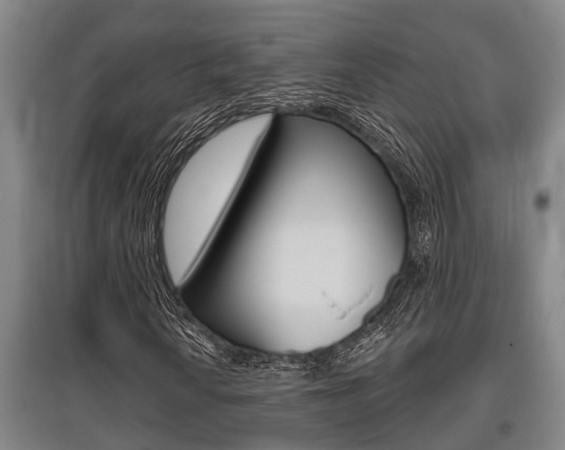 X0000095961010200801110941