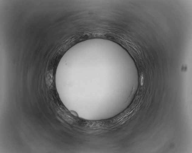 X0000095961011200801110941