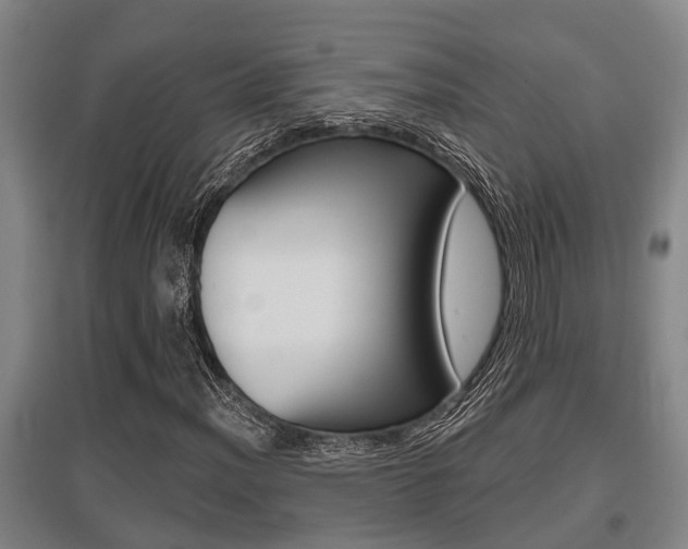 X0000095961012200801110941