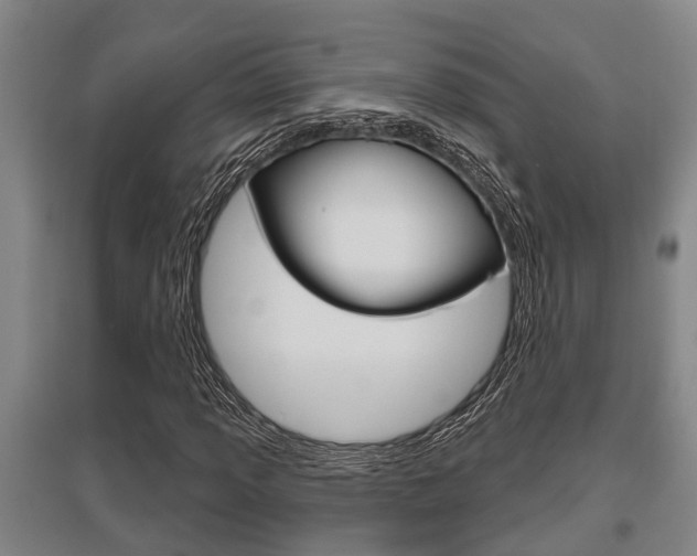 X0000095961013200801110941