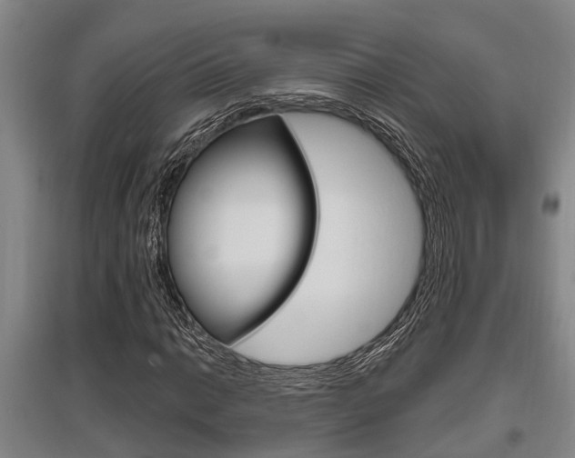 X0000095961014200801110941
