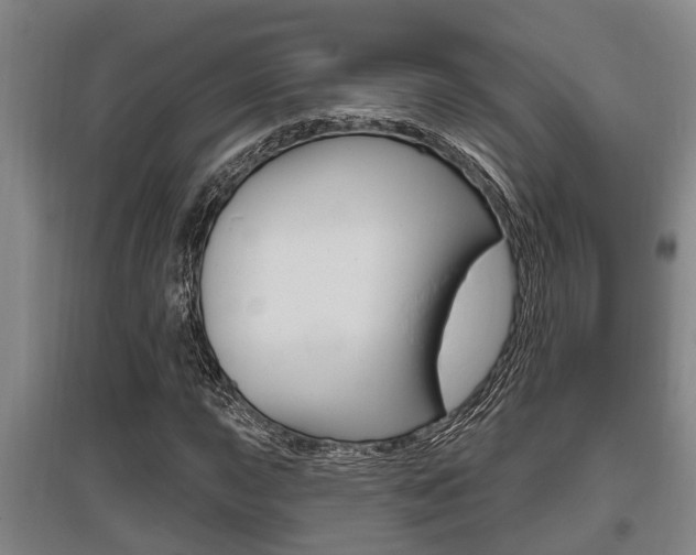 X0000095961015200801110941