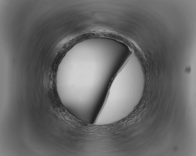 X0000095961016200801110941