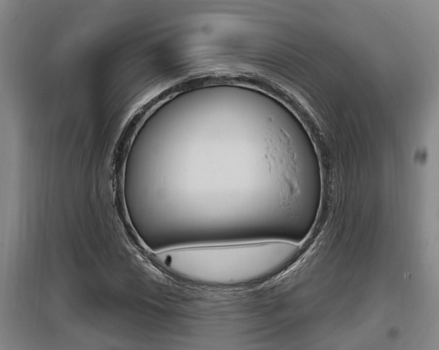 X0000095961018200801110941