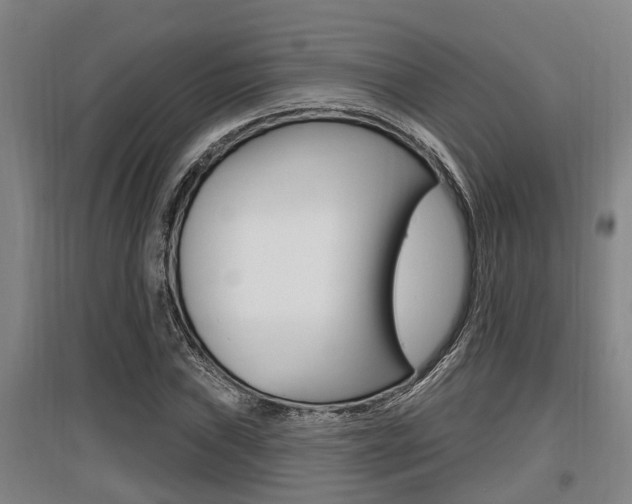 X0000095961019200801110941
