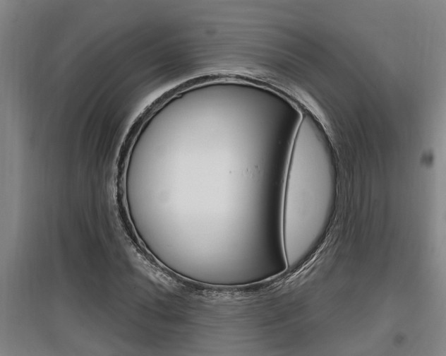 X0000095961020200801110941