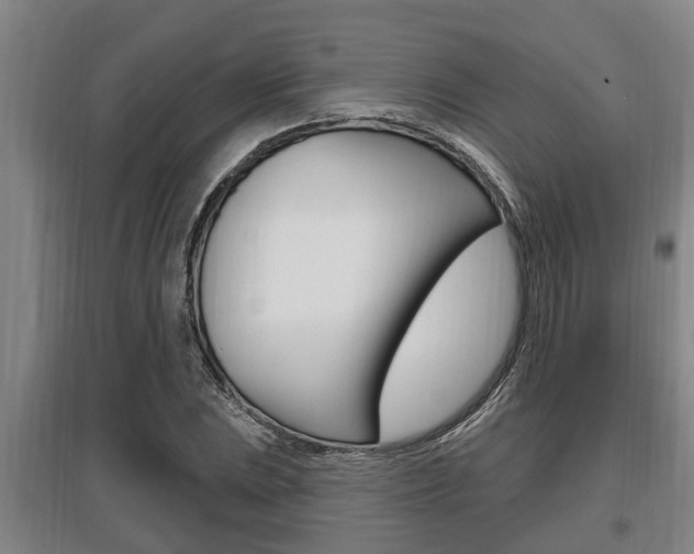 X0000095961023200801110941