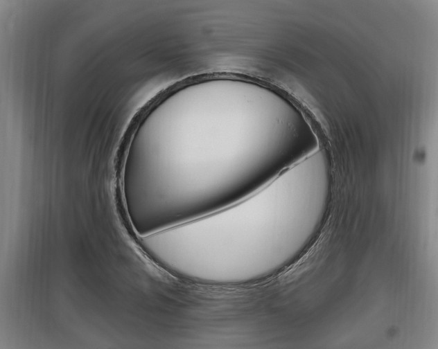 X0000095961024200801110941