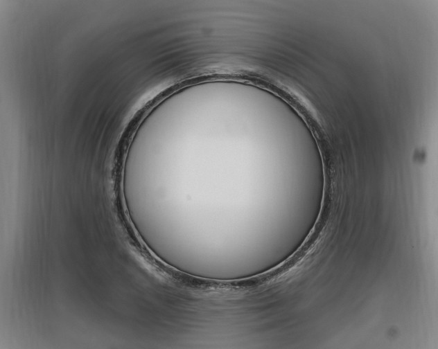X0000095961026200801110941